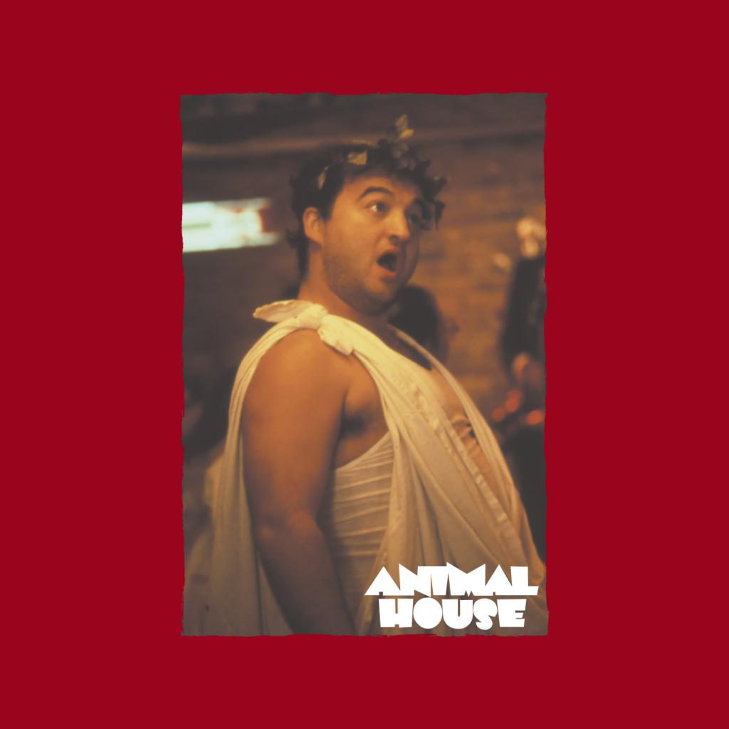 Animal House John Bluto Blutarsky Dressed In Toga Women's product image 5