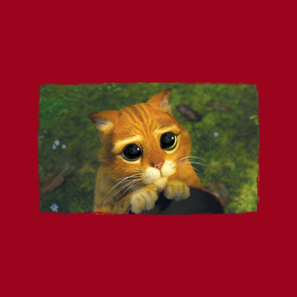 Shrek Puss In Boots Cute Eyes Women's T-Shirt product image 5