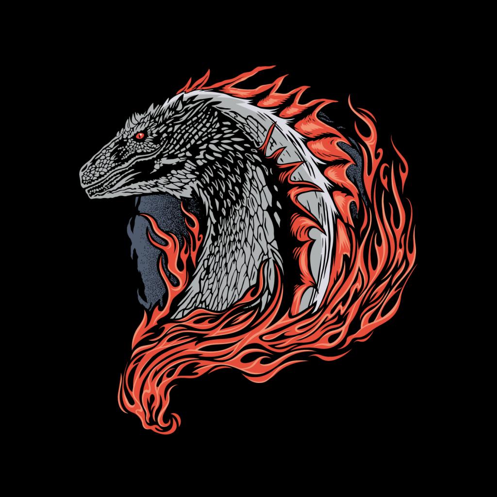 House Of The Dragon Flames Women's T-Shirt product image 2