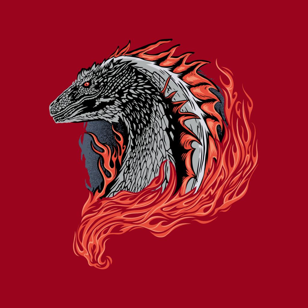 House Of The Dragon Flames Women's T-Shirt product image 7