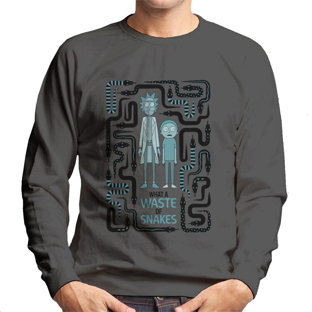Rick and Morty A Waste Of Snakes Men's Sweatshirt product image 1