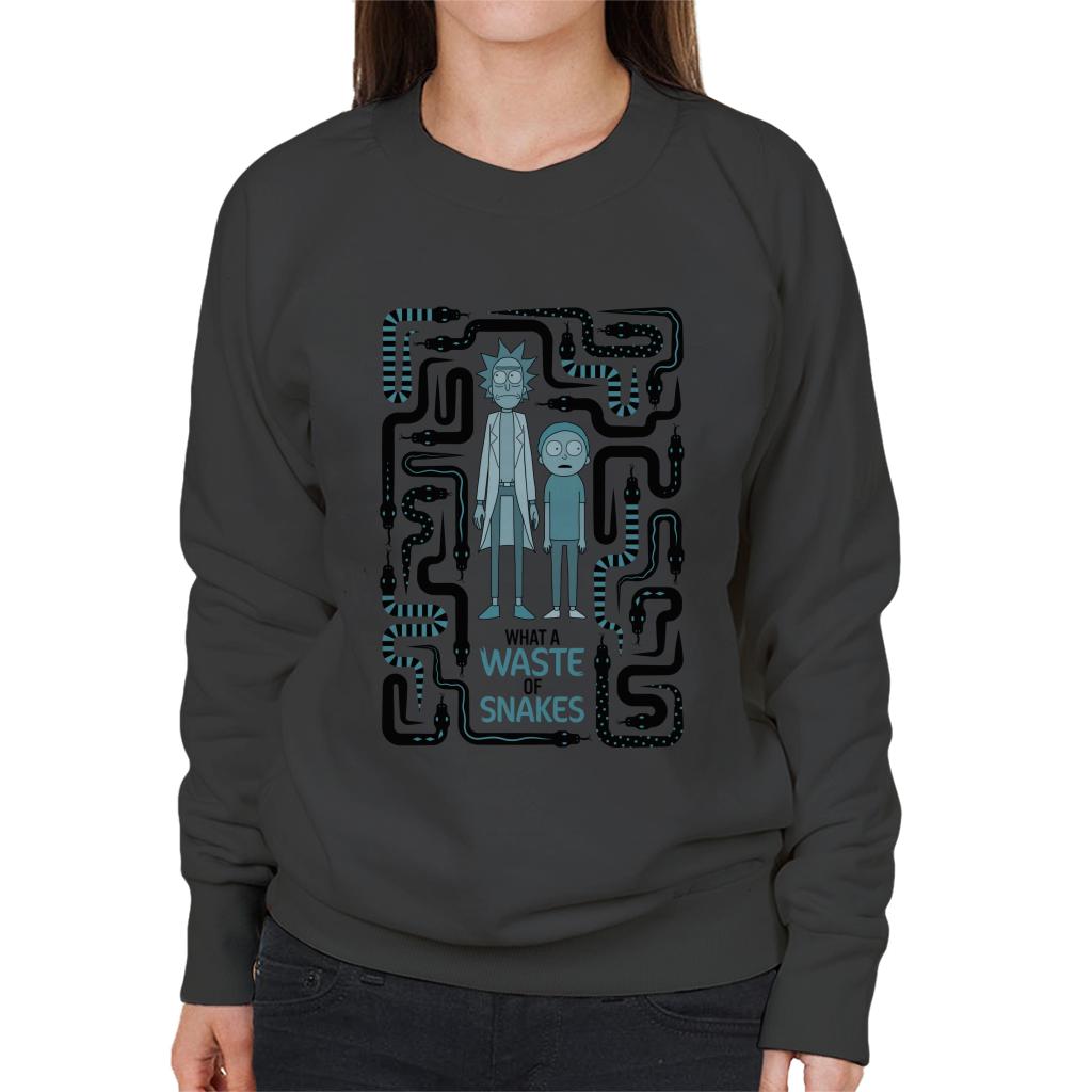 Rick and Morty A Waste Of Snakes Women's Sweatshirt product image 1