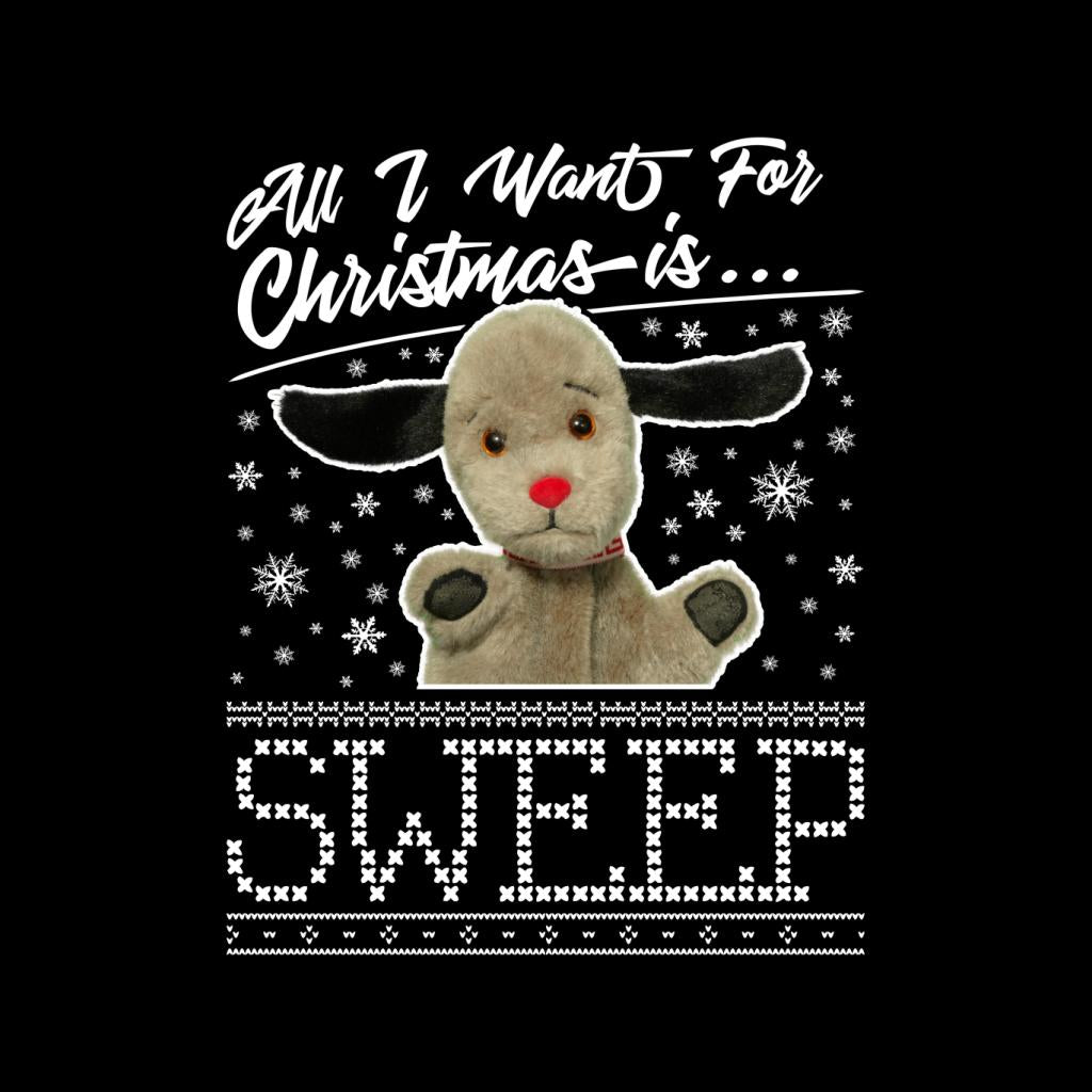 Sooty Christmas All I Want For Is Sweep Women's T-Shirt product image 2