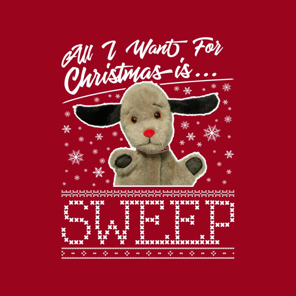 Sooty Christmas All I Want For Is Sweep Women's T-Shirt product image 5