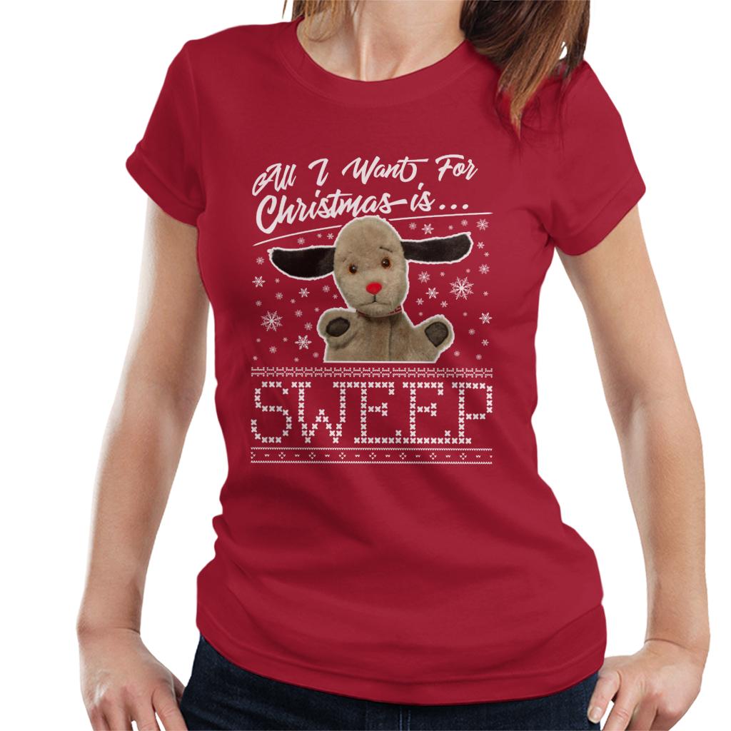 Sooty Christmas All I Want For Is Sweep Women's T-Shirt product image 4